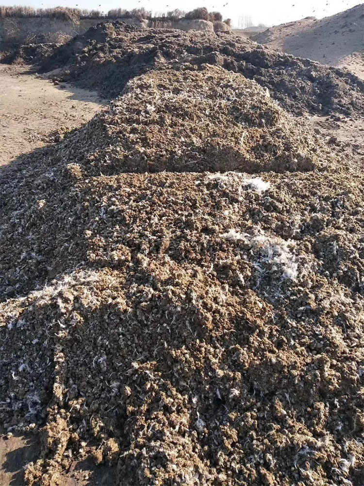 chicken manure