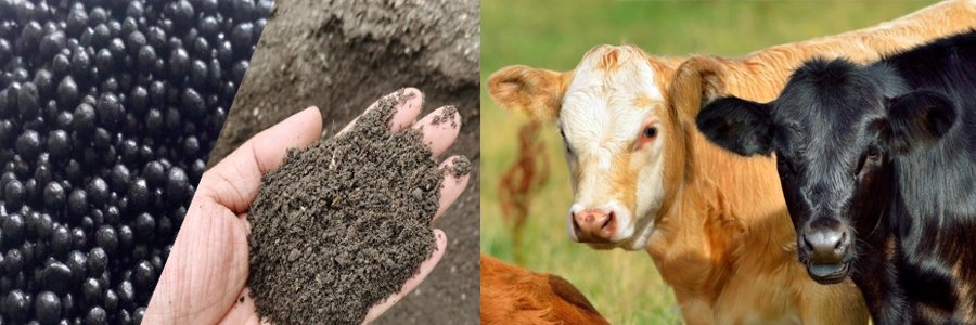 Cow dung organic fertilizer equipment（images 1）