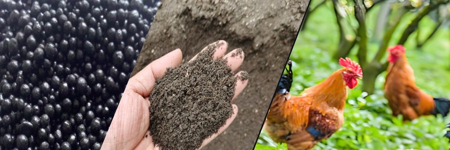 chicken manure fertilizer(images 1)