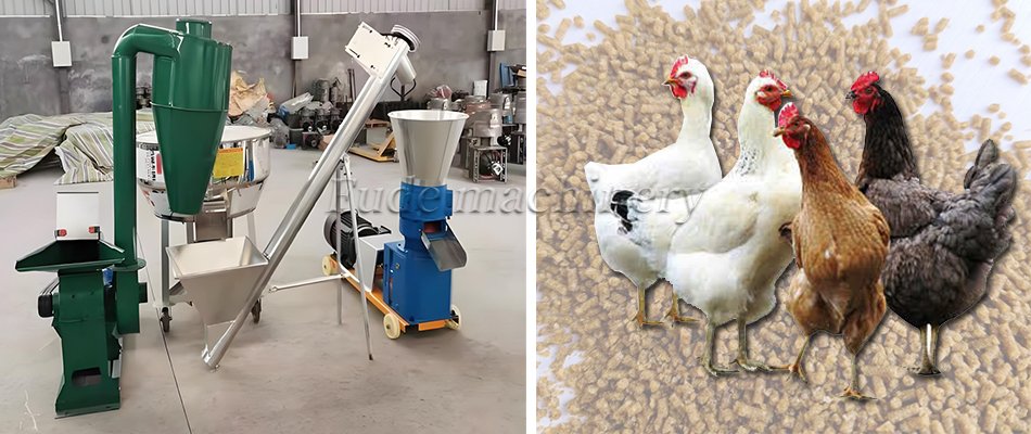 pellet feed making machine