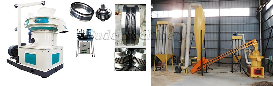 Ring die feed pellet machine