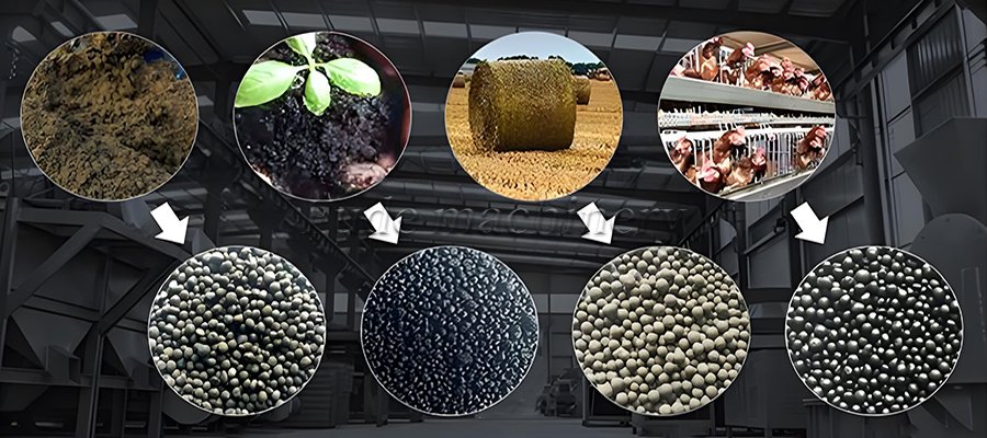 bio-organic fertilizer