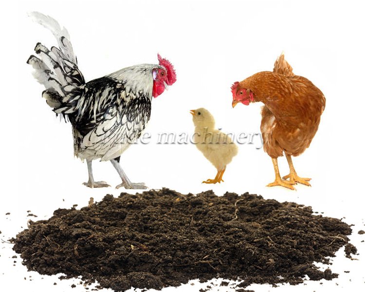 chicken manure